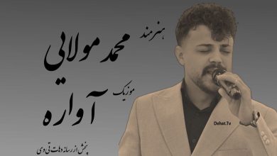 محمد ملایی - آواره